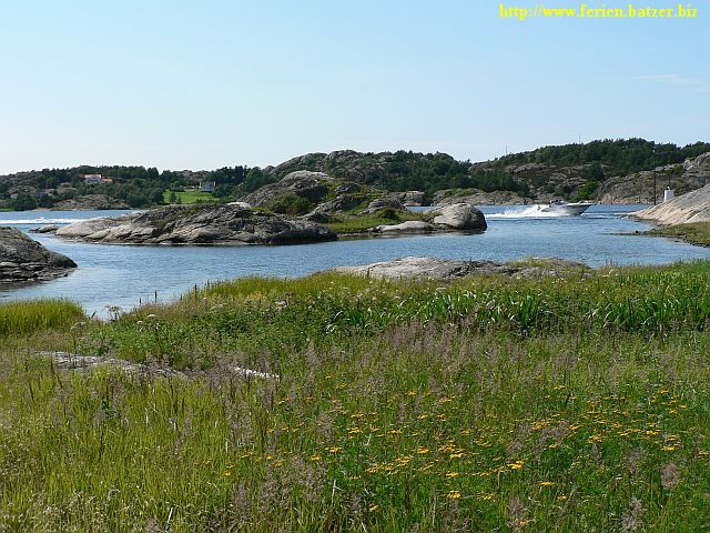 Gras und Felsen-Landschaft auf Orust Westküste von Schweden.
